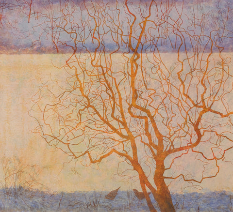Victoria Crowe - Winter Trees - Gallery Ten - Original Print - Screenprint - Graal Press - Scottish Artist - Original Print Gallery