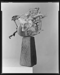 Gallery TEN - Photography - Kayhan Jafar-Shaghaghi - ANAHITA - Large Format Photography - Photography Gallery
